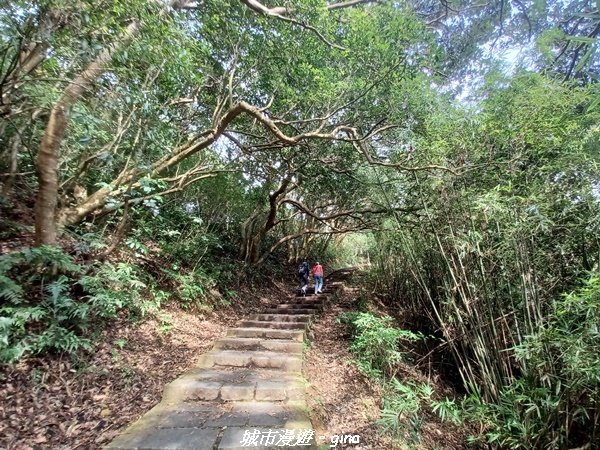 【新北八里】搭捷運公車爬山趣。 小百岳集起來。編號05小百岳-八里觀音山(硬漢嶺步道)1759636