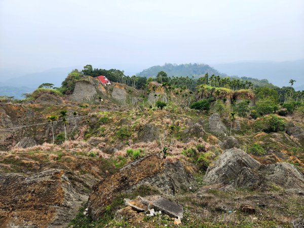 小百岳No.47⛰九份二山2448600