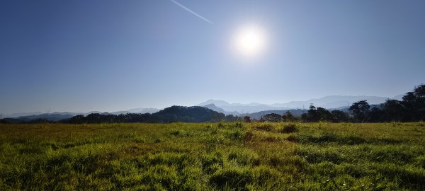 2026/01/10_銅鏡山林步道2980599