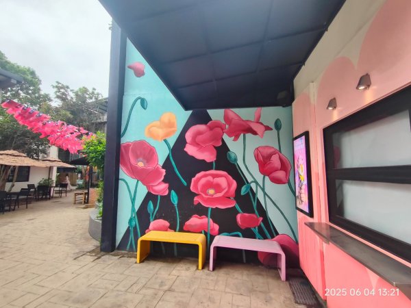 霄裡好風光運動樂悠遊2803906