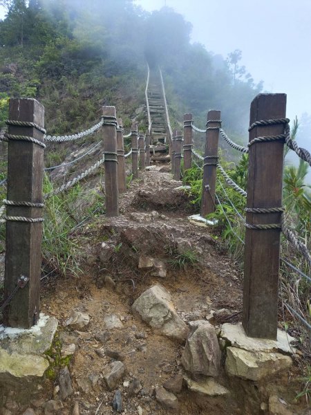 20230902台中和平隘勇求安線白毛山東北峰、白毛山、白毛山西南峰、臭頭山、白毛山北峰、沙蓮山西南2269965