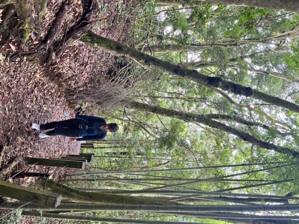 雲林小百岳-石壁山2850061