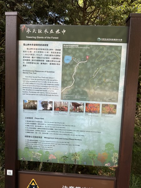 84稍來小雪山步道及天池神木11508183110069