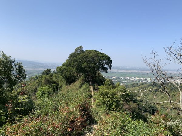 20250322南投松柏坑山-大棚山2745851