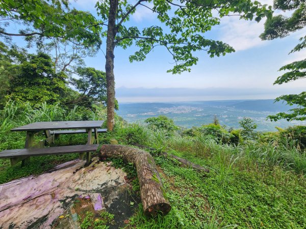 20250427大山背山田寮山毬子山騎龍山2933647