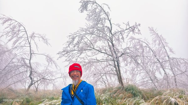 #望洋山 #太平山觀雲步道 #霧淞 #雲海 #帝雉 3/172737650