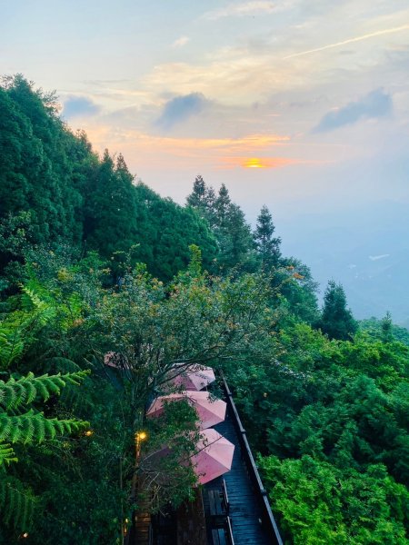 鳶嘴山-稍來山O型縱走(中級山 / 小百岳) 刺激攀岩。山嵐繚繞。傳神小象。杉樹林群。2583531