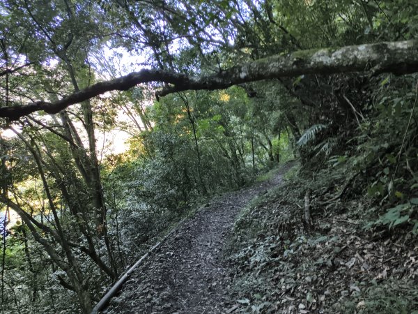 [玉山尋寶任務-07/12] 2025_0824 八通關雲龍瀑布步道2870551