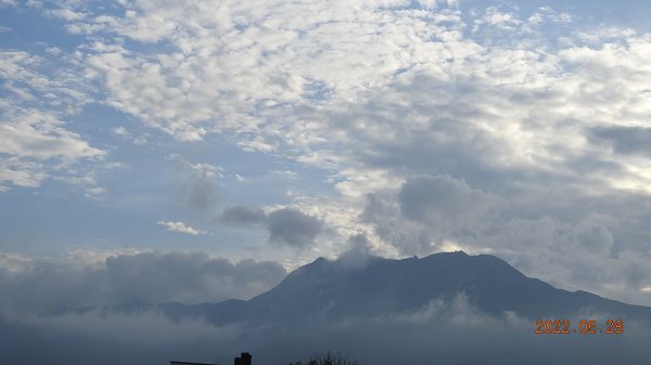 雲山水花鳥蝶 - 天龍國阿伯的日常  瀕危的 #東方白鸛 #A201720215