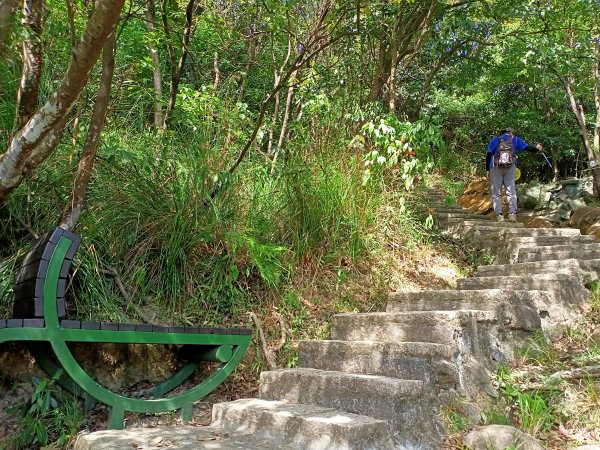 捷運大湖公園站→大溝溪→圓覺寺步道→鯉魚山小人國步道→鯉魚山東峰→鯉魚山→圓覺瀑布→圓覺寺步道→折返1819732