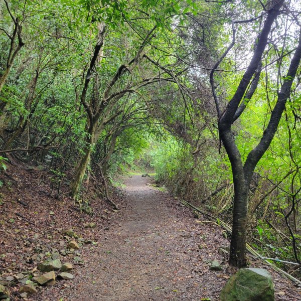 礁溪跑馬古道2518994