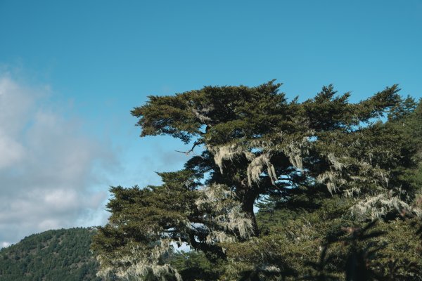 【玉山】主峰北峰二日，臺灣第一高峰雪季最美角度1881184