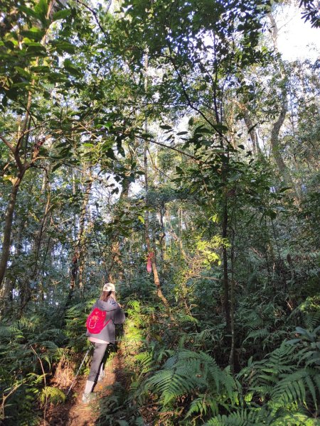 2024.02.01 凌空廊道登煤源山2843944