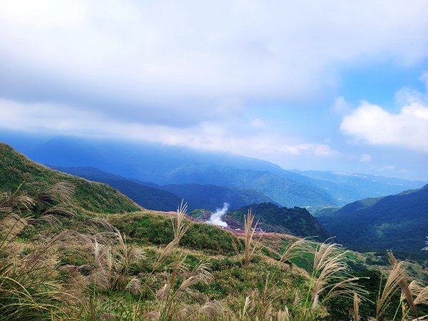 【芒花舞秋風】草山精典賞芒勝地連走2336407