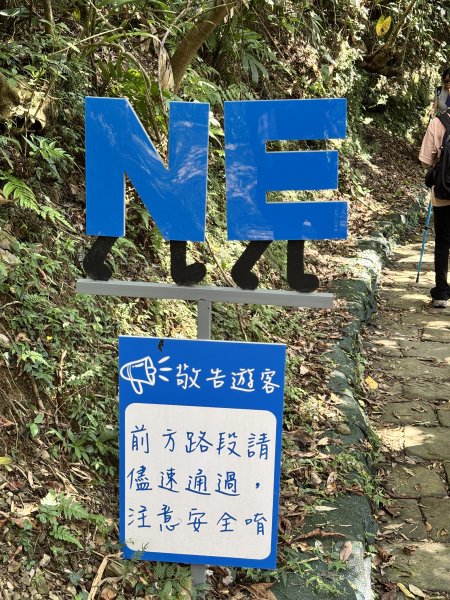 2025 芒草季 草嶺古道2932916