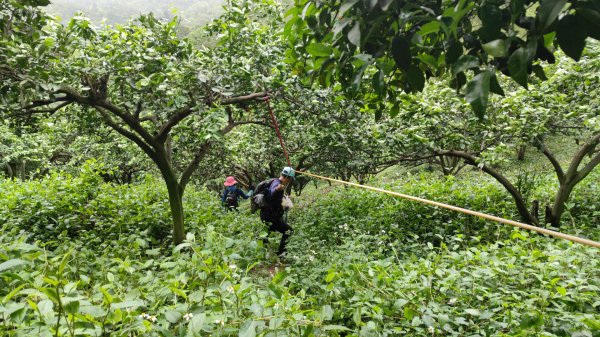 飛沙縱走33連峰2025年4月13日2760315
