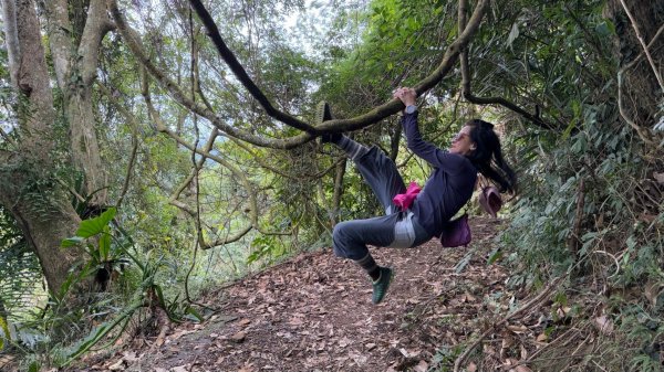 🌈1/18(六)小百岳雙收~大橫屏山+九份二山順遊賞梅🌈FB：熊熊趴爬走 歡迎加入2692536