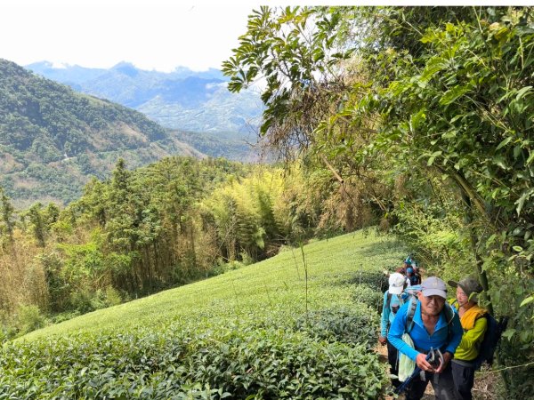 頂石槕步道群順訪樂野山2808465