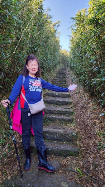 【臺北大縱走 2】【第二回合全程完成證書】鞍部→大屯山步道→大屯山主峰→大屯坪步道→二子坪步道2960326