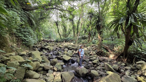 享受台北近郊陽明山小秘境楓林瀑布的清新芬多精2996544