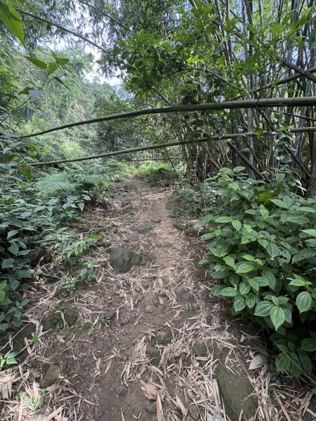 20251018台南 崁馬鞍部啟登崁頭山2920731