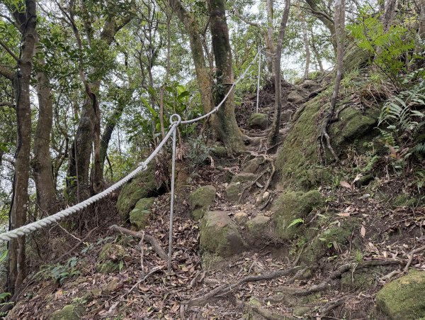 [微笑山線_第四段] 2026_0321 天上山系_石門內尖山3022049