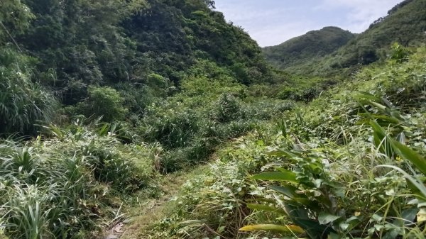 基隆市中山峽谷森林古道-外木山國旗嶺-大武崙山稜O型3117320