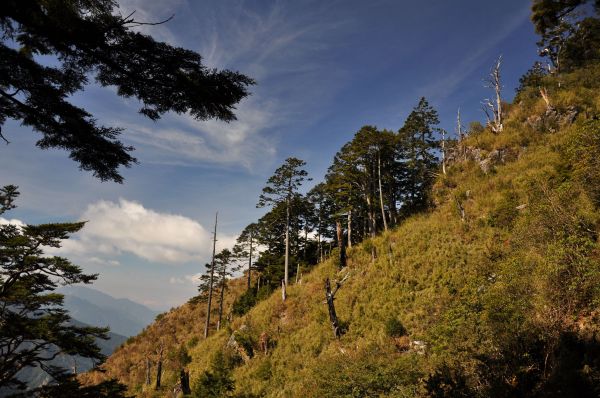 玉山前峰傷痕累累行107313