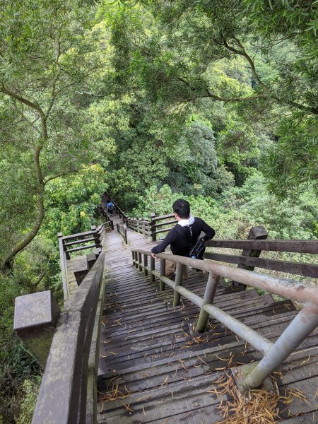 【彰化】清水岩步道群﹣中央嶺造林步道897804