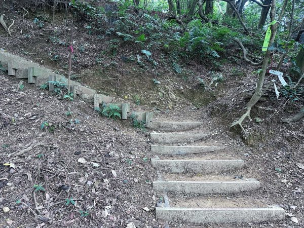 大棟山系第一段、第二段一起走2857258