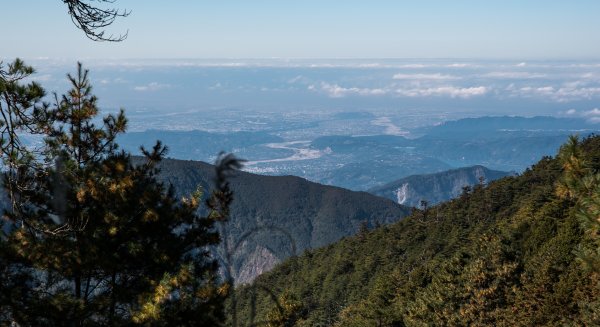 大雪山230線道賞楓1548210