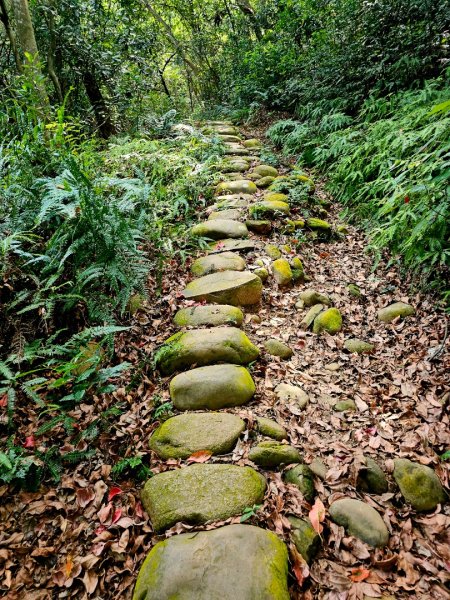 三段崎古道-2025森遊竹縣皮皮獅探險隊2890107