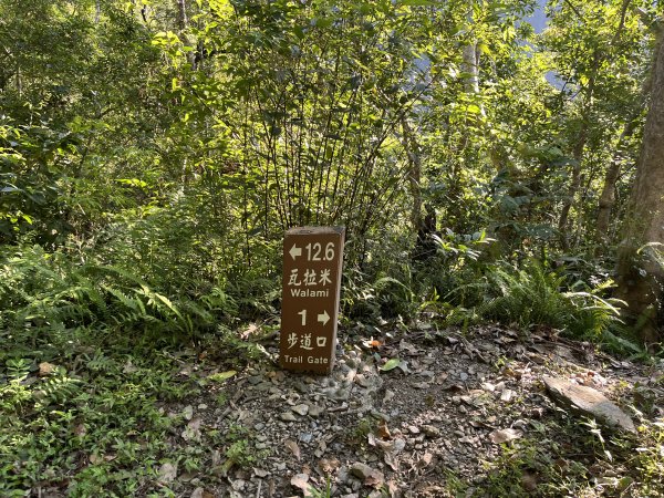 [玉山尋寶任務-03/12] 2025_0810 瓦拉米步道2857402