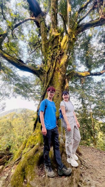 🌈3/21（六）頂湖上大凍山下奮起湖老街✨FB：熊熊趴爬走🌈3020183