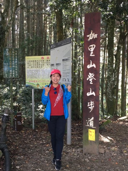 加里山登山步道之旅719224