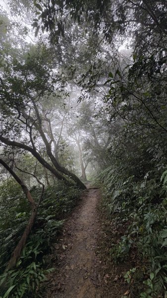 太、清、石2994662