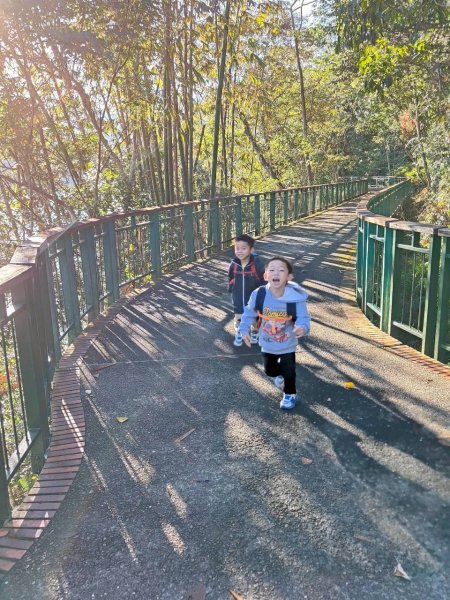 🌈12/21(日)落雨松紅了~日月潭環湖精華段✨FB：熊熊趴爬走🌈2967383