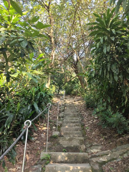 微笑山線：【大棟山系】405高地段2942548