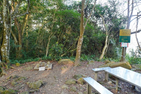 桃園 大溪 新溪洲山、溪洲山、林嵩壽山、內湳溝山、頭寮山3006207