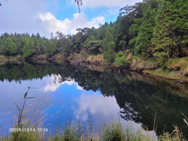 三星山+三星池+望洋山+太平山山毛櫸2432909