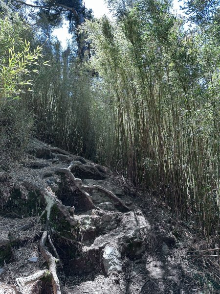 小奇萊步道2777621