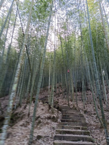 嘉南雲峰+石壁山1672966