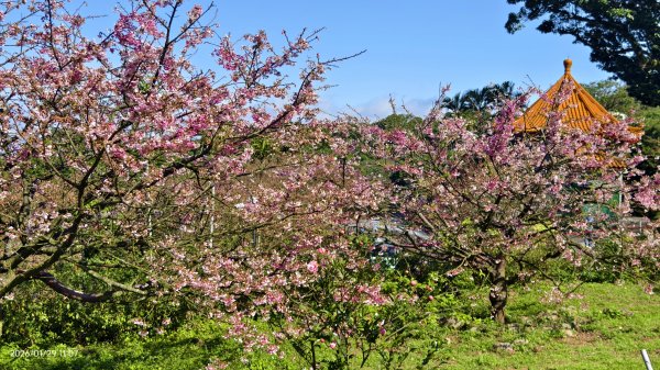 天元宮了嗎？2/32992593