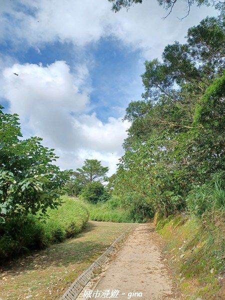 【台中烏日】S型的水圳步道古樸優美。 知高圳步道、雪蓮步道、學田山2874946