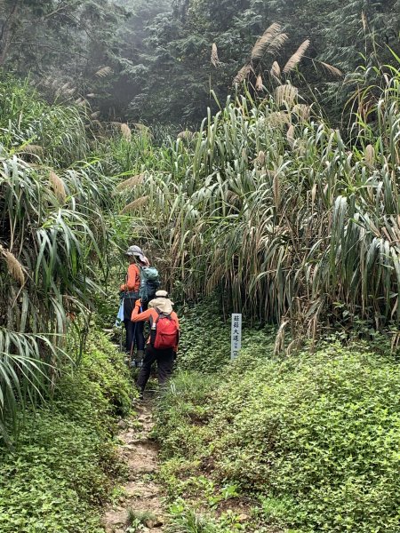 20260501南投嶺頭山-金柑樹山3052910
