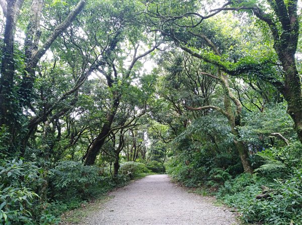 端午登高順陽好節氣 炎炎夏日。登高看雲去693070