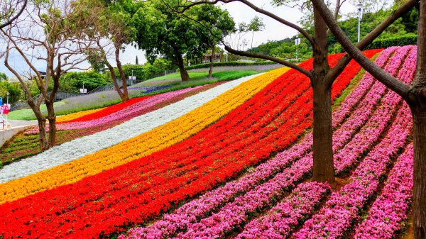 北投社三層崎3010992