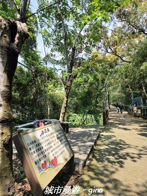 【台中外埔】外埔水流東桐花步道3046220
