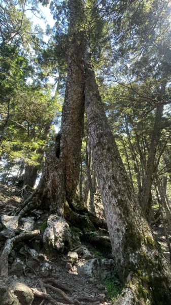 北ㄧ段-審馬陣-南湖北山-南湖北峰-南湖大山-南湖東峰2859120