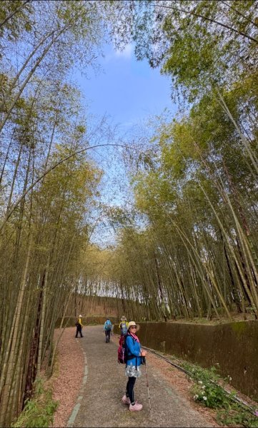 鳳凰谷步道走凍頂麒麟山2772744